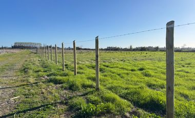 Parcela 5000M2 sector de Paso Alejo km 10 camino a Coihueco Chillán