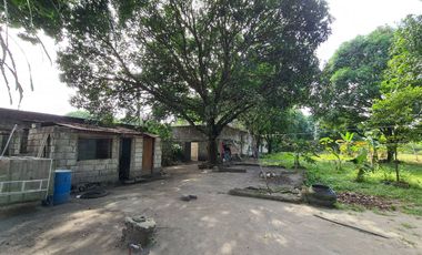 Vacation Property for Sale with Cottages, Mango Trees & Existing Pool Structure