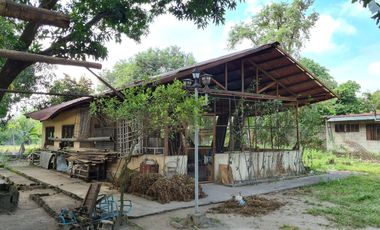 Vacation Property for Sale with Cottages, Mango Trees & Existing Pool Structure