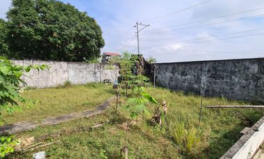 Vacation Property for Sale with Cottages, Mango Trees & Existing Pool Structure