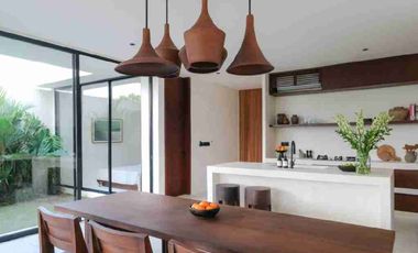 Brand New Villa View Sawah dekat Nuanu Bali