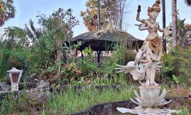 Dijual Villa Arjuna di Bali