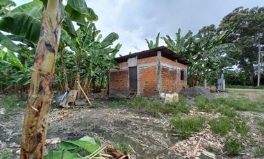 VENTA DE FINCA DE 1,86 HECTAREAS EN MILAGRO