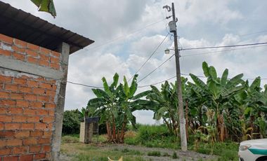 VENTA DE FINCA DE 1,86 HECTAREAS EN MILAGRO