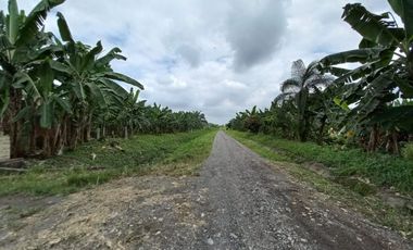 VENTA DE FINCA DE 1,86 HECTAREAS EN MILAGRO