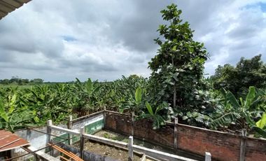 VENTA DE FINCA DE 1,86 HECTAREAS EN MILAGRO