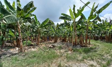 VENTA DE FINCA DE 1,86 HECTAREAS EN MILAGRO