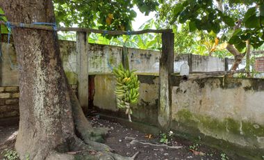 VENTA DE FINCA DE 1,86 HECTAREAS EN MILAGRO