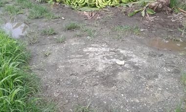 VENTA DE FINCA DE 1,86 HECTAREAS EN MILAGRO