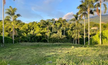 Oportunidad I Majestuoso lote con 2.088 m2 con vista a las montañas y nacimiento de agua en Combia Condominio Campestre. Pereira.