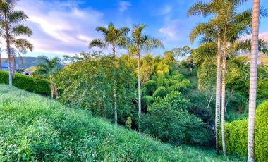 Oportunidad I Majestuoso lote con 2.088 m2 con vista a las montañas y nacimiento de agua en Combia Condominio Campestre. Pereira.