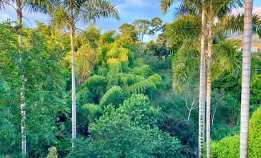 Oportunidad I Majestuoso lote con 2.088 m2 con vista a las montañas y nacimiento de agua en Combia Condominio Campestre. Pereira.