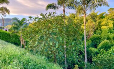 Oportunidad I Majestuoso lote con 2.088 m2 con vista a las montañas y nacimiento de agua en Combia Condominio Campestre. Pereira.