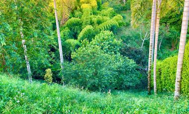 Oportunidad I Majestuoso lote con 2.088 m2 con vista a las montañas y nacimiento de agua en Combia Condominio Campestre. Pereira.