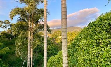 Oportunidad I Majestuoso lote con 2.088 m2 con vista a las montañas y nacimiento de agua en Combia Condominio Campestre. Pereira.