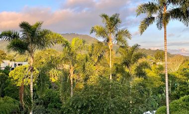 Oportunidad I Majestuoso lote con 2.088 m2 con vista a las montañas y nacimiento de agua en Combia Condominio Campestre. Pereira.