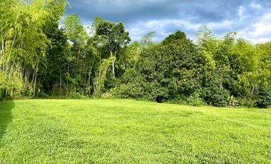 Majestuoso lote de 3000 m2 con vista al lago y al bosque en Malabar Condominio Campestre. Cerritos. Pereira