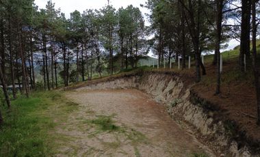 ¡Tu oportunidad de inversión en Tarqui!