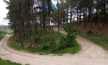 ¡Tu oportunidad de inversión en Tarqui!