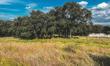 TERRENOS EN VENTA EN FRACCIONAMIENTO EL LAGO EN HARAS DEL BOSQUE.
