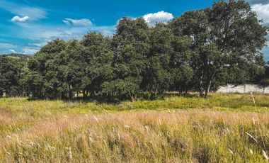TERRENOS EN VENTA EN FRACCIONAMIENTO EL LAGO EN HARAS DEL BOSQUE.