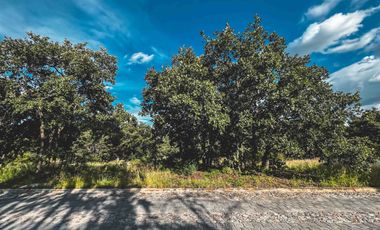 TERRENOS EN VENTA EN FRACCIONAMIENTO EL LAGO EN HARAS DEL BOSQUE.