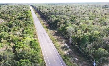 4.5 Ha • Frente de 100 m Sobre La Carretera 307 Corredor Aeropuerto Tulum