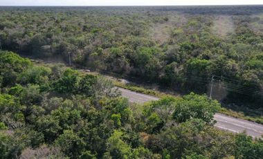 4.5 Ha • Frente de 100 m Sobre La Carretera 307 Corredor Aeropuerto Tulum