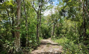 4.5 Ha • Frente de 100 m Sobre La Carretera 307 Corredor Aeropuerto Tulum