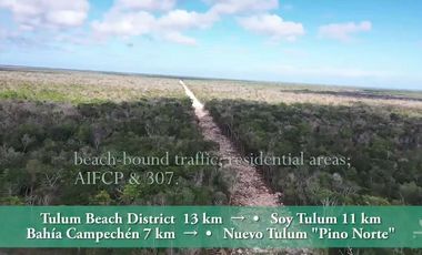 4.5 Ha • Frente de 100 m Sobre La Carretera 307 Corredor Aeropuerto Tulum