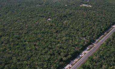 4.5 Ha • Frente de 100 m Sobre La Carretera 307 Corredor Aeropuerto Tulum