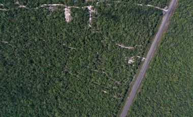 4.5 Ha • Frente de 100 m Sobre La Carretera 307 Corredor Aeropuerto Tulum