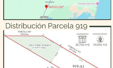 4.5 Ha • Frente de 100 m Sobre La Carretera 307 Corredor Aeropuerto Tulum