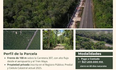 4.5 Ha • Frente de 100 m Sobre La Carretera 307 Corredor Aeropuerto Tulum