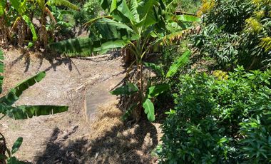 Venta Casa Finca en Yolombó Antioquia