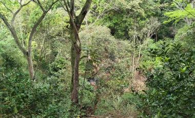 Venta de lote para proyecto de Vivienda