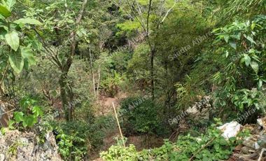 Venta de lote para proyecto de Vivienda