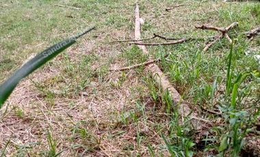 Venta de lote para proyecto de Vivienda