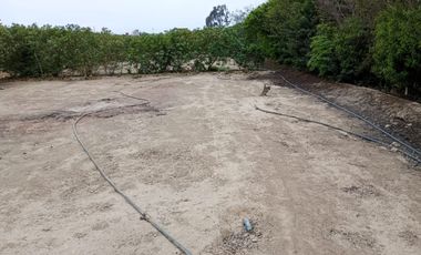 Venta De Terreno En Condominio Los Damascos, Asia, A 10 Minutos Del Boulevard De Asía