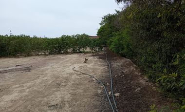 Venta De Terreno En Condominio Los Damascos, Asia, A 10 Minutos Del Boulevard De Asía