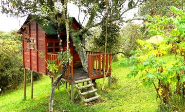 Espectacular!!!!! Con Piscina, Rodeado de Terrazas.