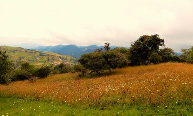 Espectacular!!!!! Con Piscina, Rodeado de Terrazas.