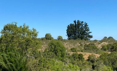 FyC Vende Oportunidad terreno 6H en Melosilla