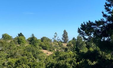 FyC Vende Oportunidad terreno 6H en Melosilla