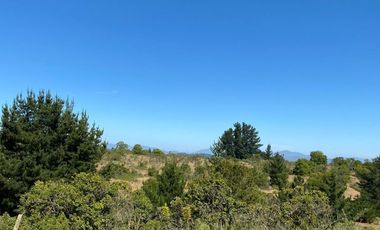 FyC Vende Oportunidad terreno 6H en Melosilla