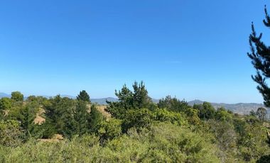 FyC Vende Oportunidad terreno 6H en Melosilla