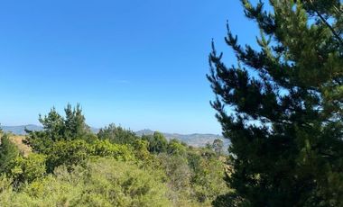FyC Vende Oportunidad terreno 6H en Melosilla