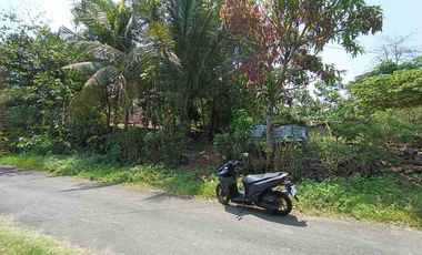 JUAL TANAH DI WATES KULONPROGO