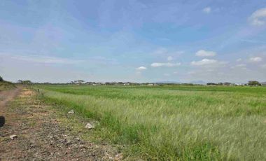 Vendo Terreno Esquinero , Nuevo Samborondon,  El Buijo