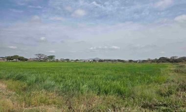 Vendo Terreno Esquinero , Nuevo Samborondon,  El Buijo